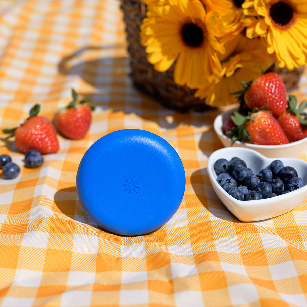 Invisalign Clear Aligner Case - Royal Blue Design – Invisalign ...